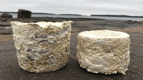 Изоляция для домов из грибов