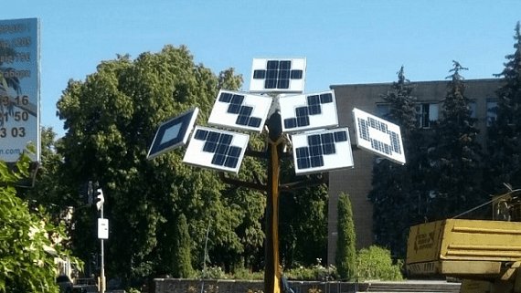 Солнечное дерево в Черкасской области